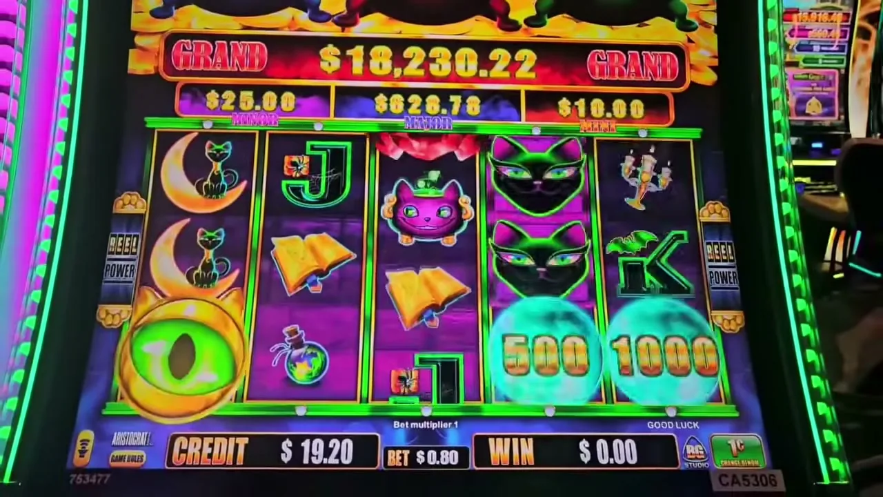 Cómo elegir un casino en vivo: licencia DGOJ, proveedores y métodos de pago